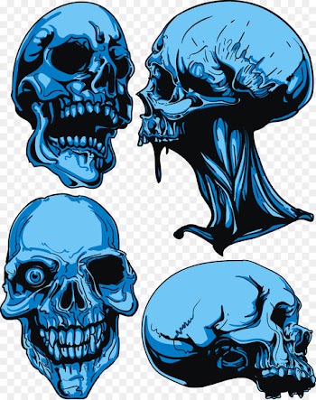 Skull Royalty-free Euclidean vector - Skull 