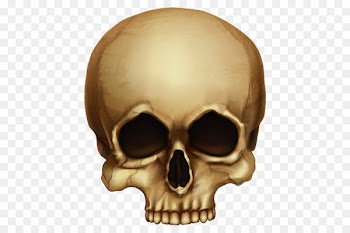 Skull Skeleton Clip art - Horror skull 
