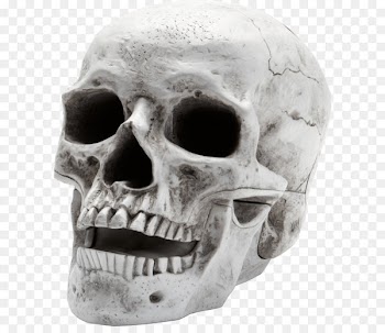 Skull Skeleton - Scary skeleton 