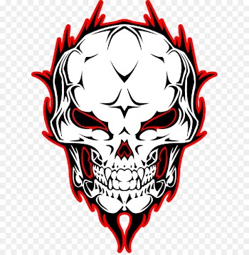 Skull Vecteur Illustration - Vector Skull 