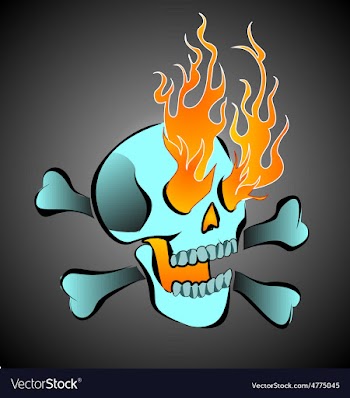 Skull vector image