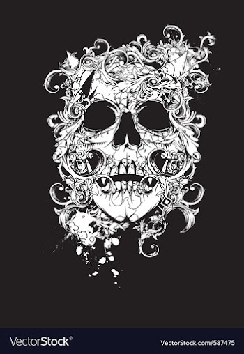 Skull vector image