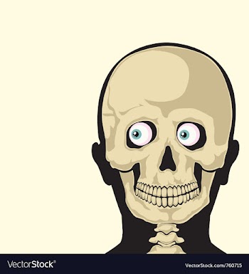  					Skull vector image														