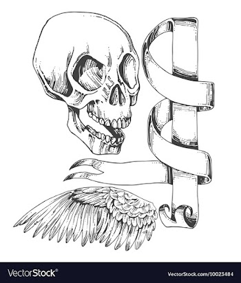 Skull wing and sroll vector image