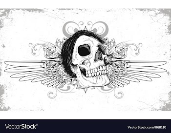 Skull with grunge and wings vector image