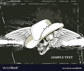 Skull with grunge background vector image