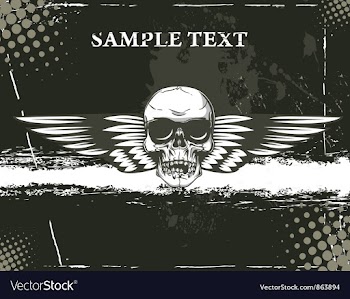 Skull with grunge background vector image