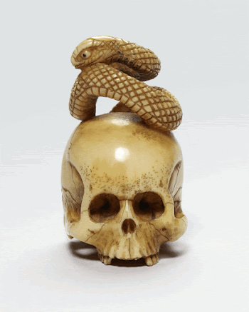 skull with snake coiled on top; | Free Photo - rawpixel