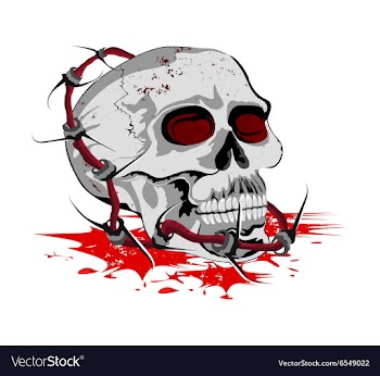 Skull with steel barbed wire on a white vector image