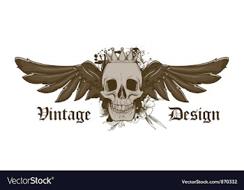 Skull with wigns vector image