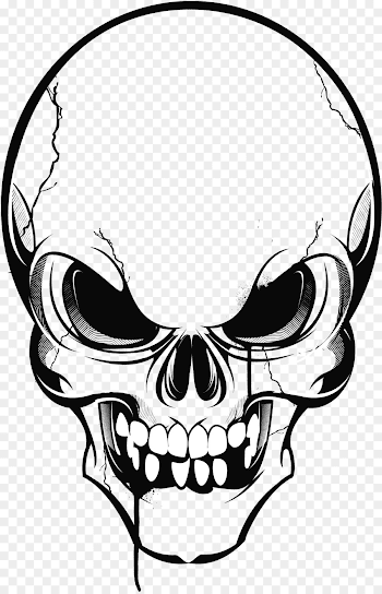 skulls png download - 2473*3840 - Free Transparent Calavera png ...