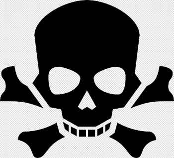 Skulls PNG Image - PurePNG | Free transparent CC0 PNG Image Library