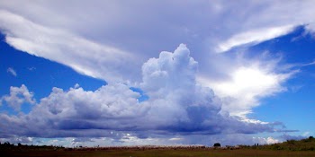 sky_001.jpg