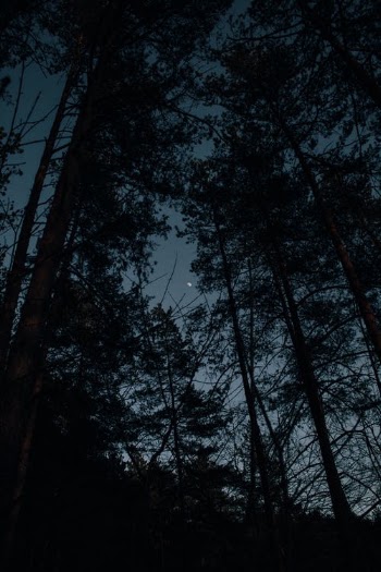 Sky and moon · Free Stock Photo