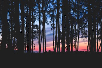 Sky at dusk 3