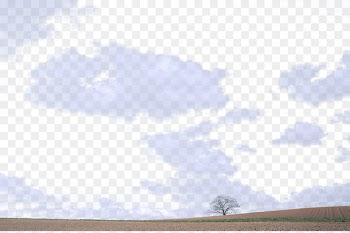 Sky Blue Cloud - White clouds sky 