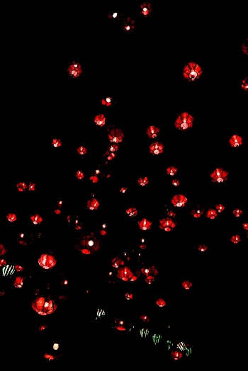 Sky Lanterns