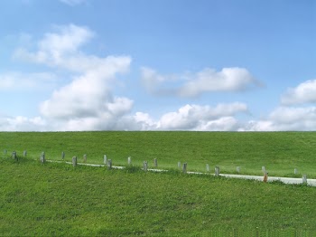 sky_msc_008.jpg