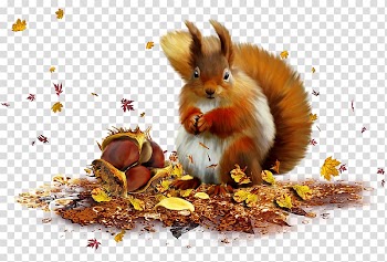 , sky squirrel transparent background PNG clipart