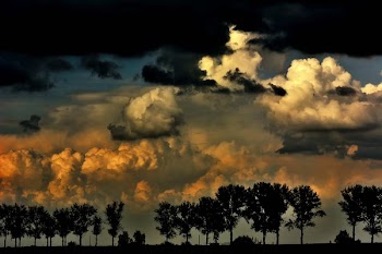 Sky, Tree, Nature, Blue, Landscape, Europe, Sunset