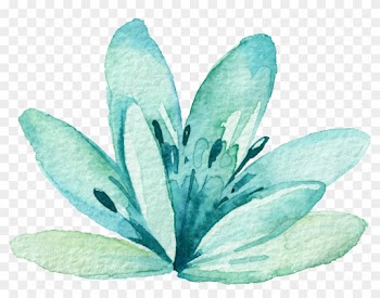 Skye Cascadea Photo Art - Blue Flower Watercolor Png