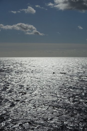 Skyline | Free Photo - rawpixel