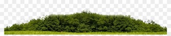 Skyline On Brickell - Nature Skyline Png