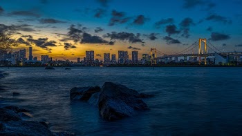 Skyline Photography of Buildings and Bridge