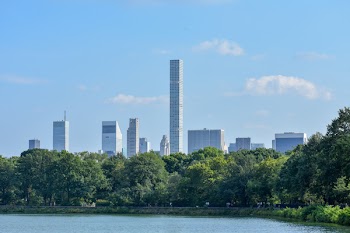 Skyscraper Buildings Near Trees