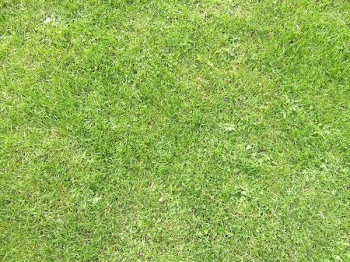 slartibartfast_2006_10080061.JPG