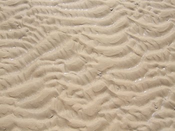 slartibartfast_2007_07290061.JPG
