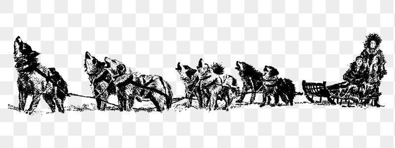 Sled dog png sticker illustration, | Free PNG - rawpixel