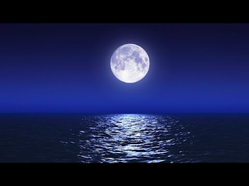 Sleep Music With Ocean and Jungle Sounds – Relaxing Blue Screen ...