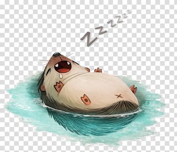 Sleeping animal , Drawing Illustration, Sleeping hedgehog transparent background PNG clipart
