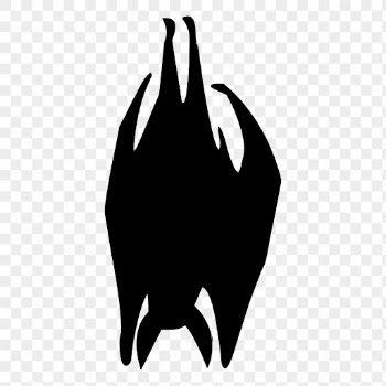 Sleeping bat png silhouette sticker, | Free PNG - rawpixel