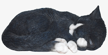 Sleeping Cat Black/whit Real Life Resin Ornament By - Black Cat ...