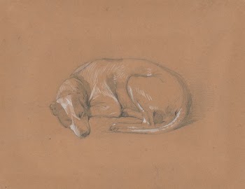 Sleeping dog by Friedrich Carl | Free Photo - rawpixel