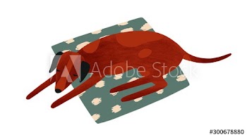 Sleeping dog flat vector illustration