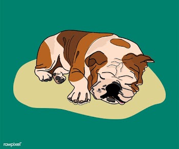 Sleeping dog funky graphic illustration | Free stock vector - 429615