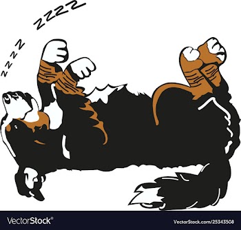 Sleeping dog vector image