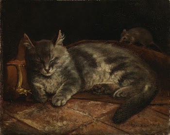 Sleeping grey cat and a rat, | Free Photo - rawpixel