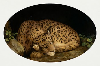 Sleeping Leopard (1777) painting in high… | Free public domain illustration
