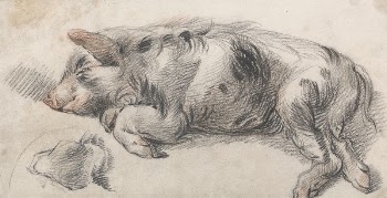 Sleeping Pig | Free Photo - rawpixel