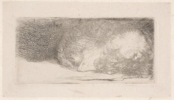 Sleeping puppy (small plate) | Free Photo - rawpixel