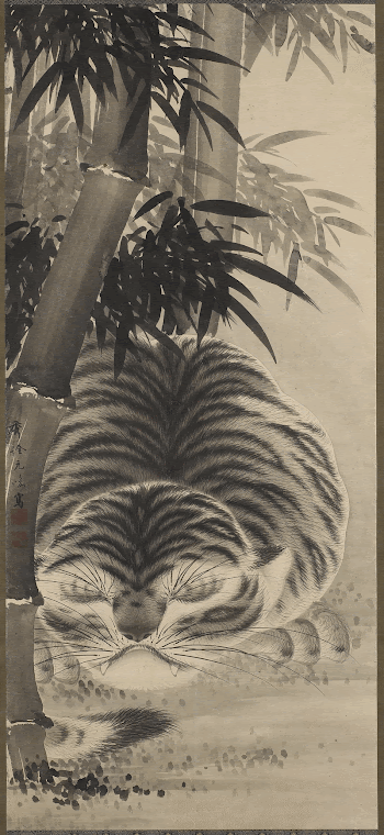 sleeping tiger with bamboo at L | Free Photo - rawpixel