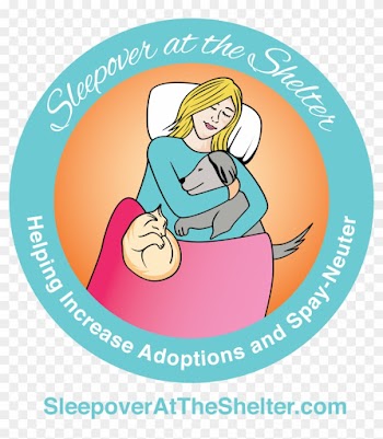 “sleepover At The Shelter” Event To Raise Money For - Illustration
