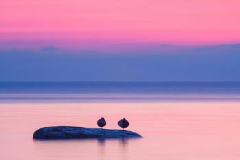 Sleepy sunset