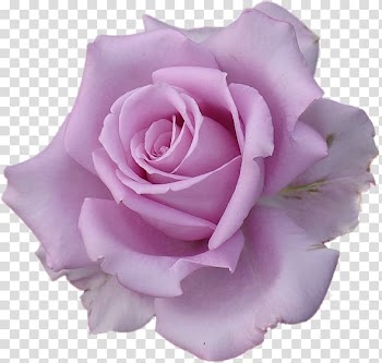 Sleeve tattoo Polynesia Rose Tattoo artist, rose transparent background PNG clipart