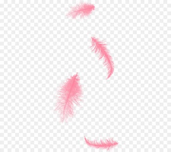 Slice Green Feather Red Computer file - Two feathers 