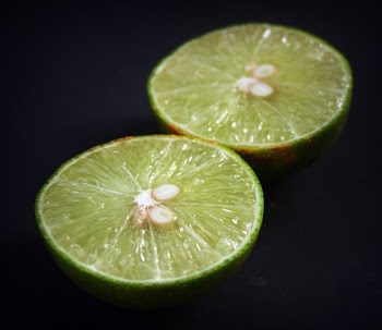 Slice Lemon Photo